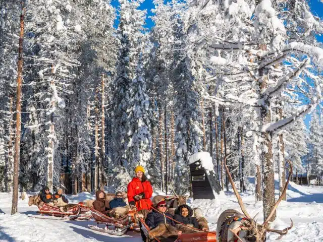 Forest Path – An 800-Meter Reindeer Sleigh Ride Adventure in Santa’s Forest, Rovaniemi
