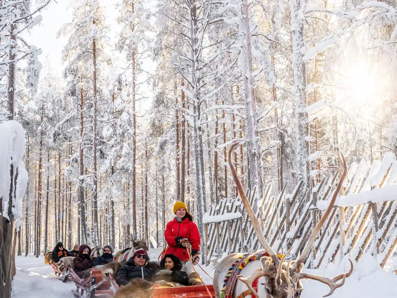 Forest Path – An 800-Meter Reindeer Sleigh Ride Adventure in Santa’s Forest, Rovaniemi