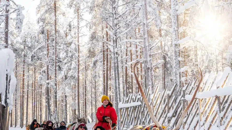 Forest Path – An 800-Meter Reindeer Sleigh Ride Adventure in Santa’s Forest, Rovaniemi