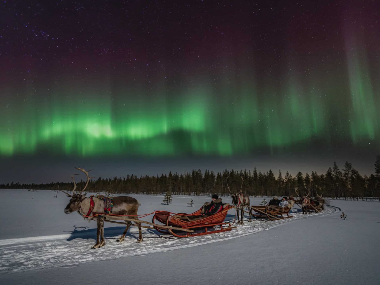 In Search of the Northern Lights – Reindeer Sleigh Ride Under the Arctic Sky