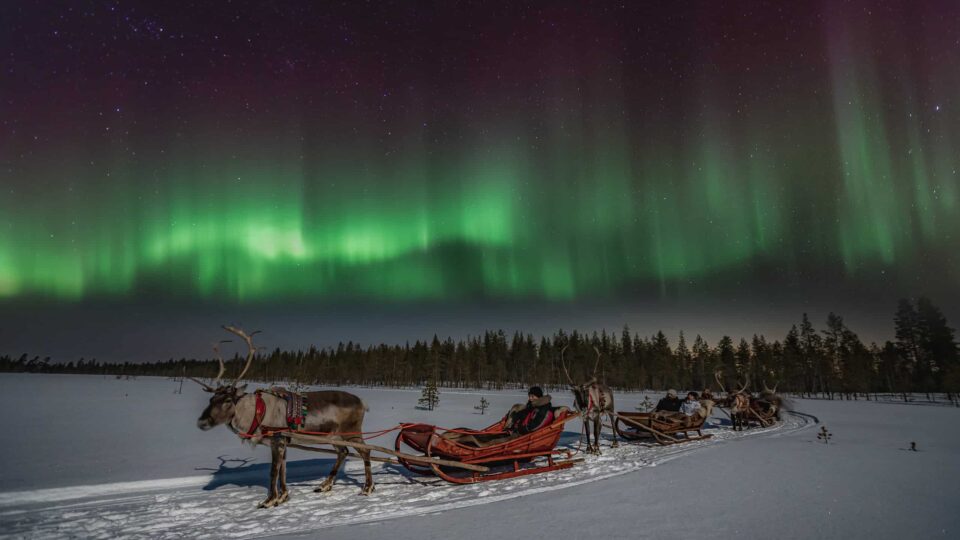 In Search of the Northern Lights – Reindeer Sleigh Ride Under the Arctic Sky