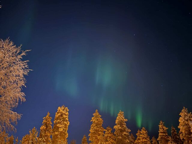 In Search of the Northern Lights – Reindeer Sleigh Ride Under the Arctic Sky