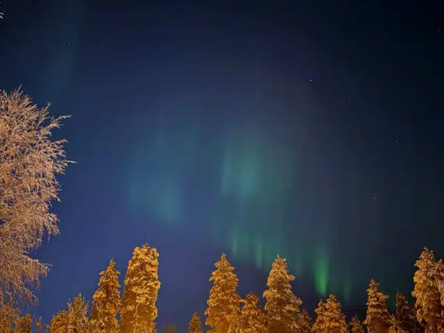 In Search of the Northern Lights – Reindeer Sleigh Ride Under the Arctic Sky