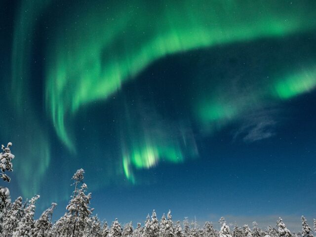 In Search of the Northern Lights – Reindeer Sleigh Ride Under the Arctic Sky