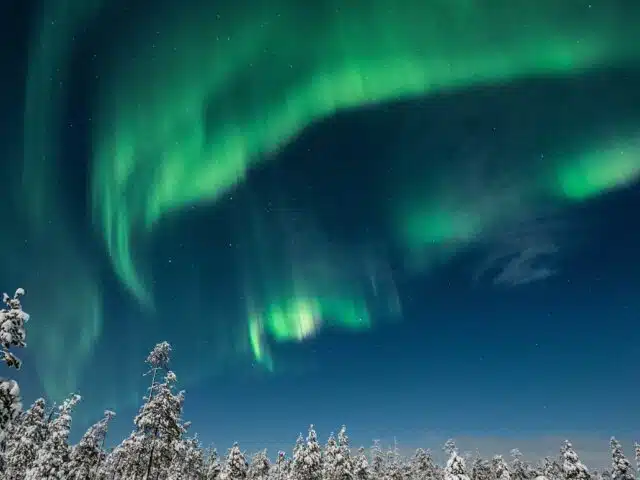 In Search of the Northern Lights – Reindeer Sleigh Ride Under the Arctic Sky