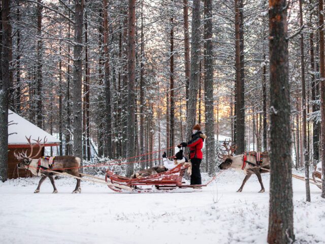 Priority Reindeer Ride – Fast Track for you Forest Path Reindeer Ride
