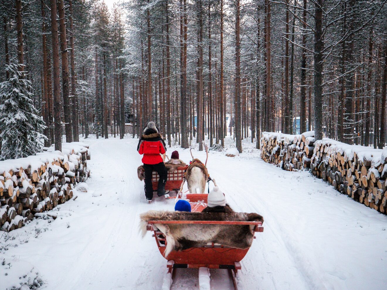Priority Reindeer Ride – Fast Track for you Forest Path Reindeer Ride