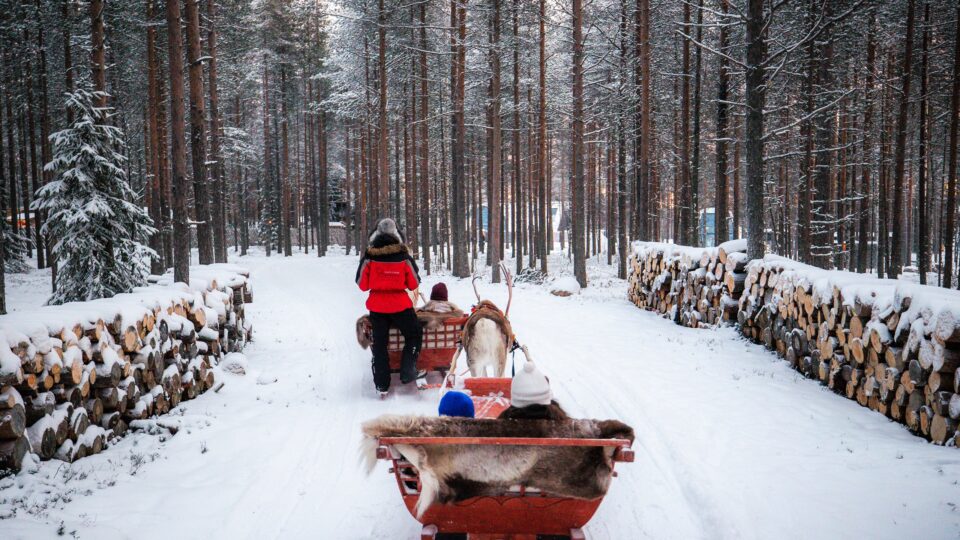 Priority Reindeer Ride – Fast Track for you Forest Path Reindeer Ride