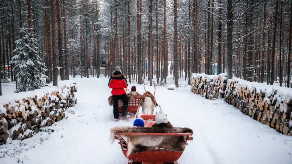 Priority Reindeer Ride – Fast Track for you Forest Path Reindeer Ride