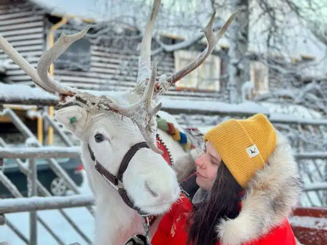 Reindeer Path – A 400-Meter Reindeer Sleigh Ride with Santa’s Reindeer