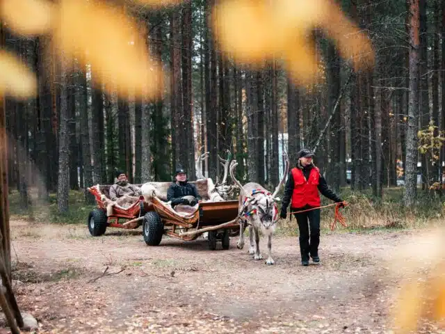 Reindeer Path – A 400-Meter Reindeer Sleigh Ride with Santa’s Reindeer