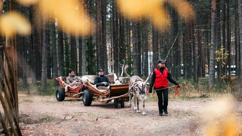 Reindeer Path – A 400-Meter Reindeer Sleigh Ride with Santa’s Reindeer