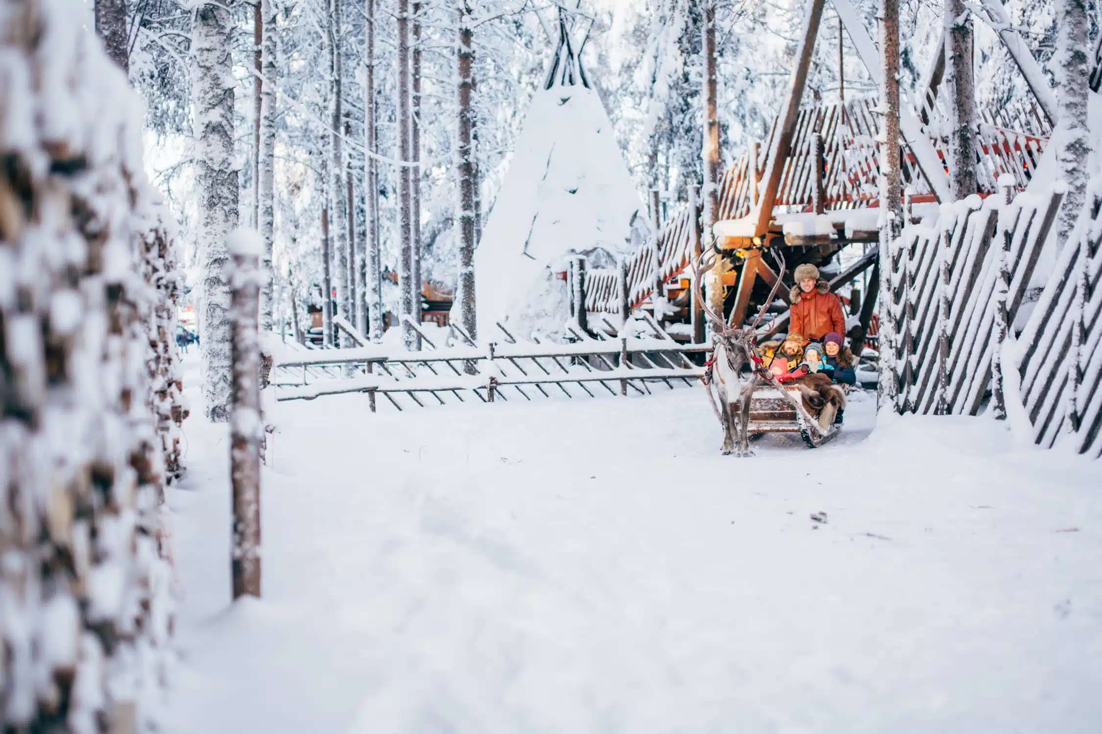 Reindeer Ride With A Smiling Family