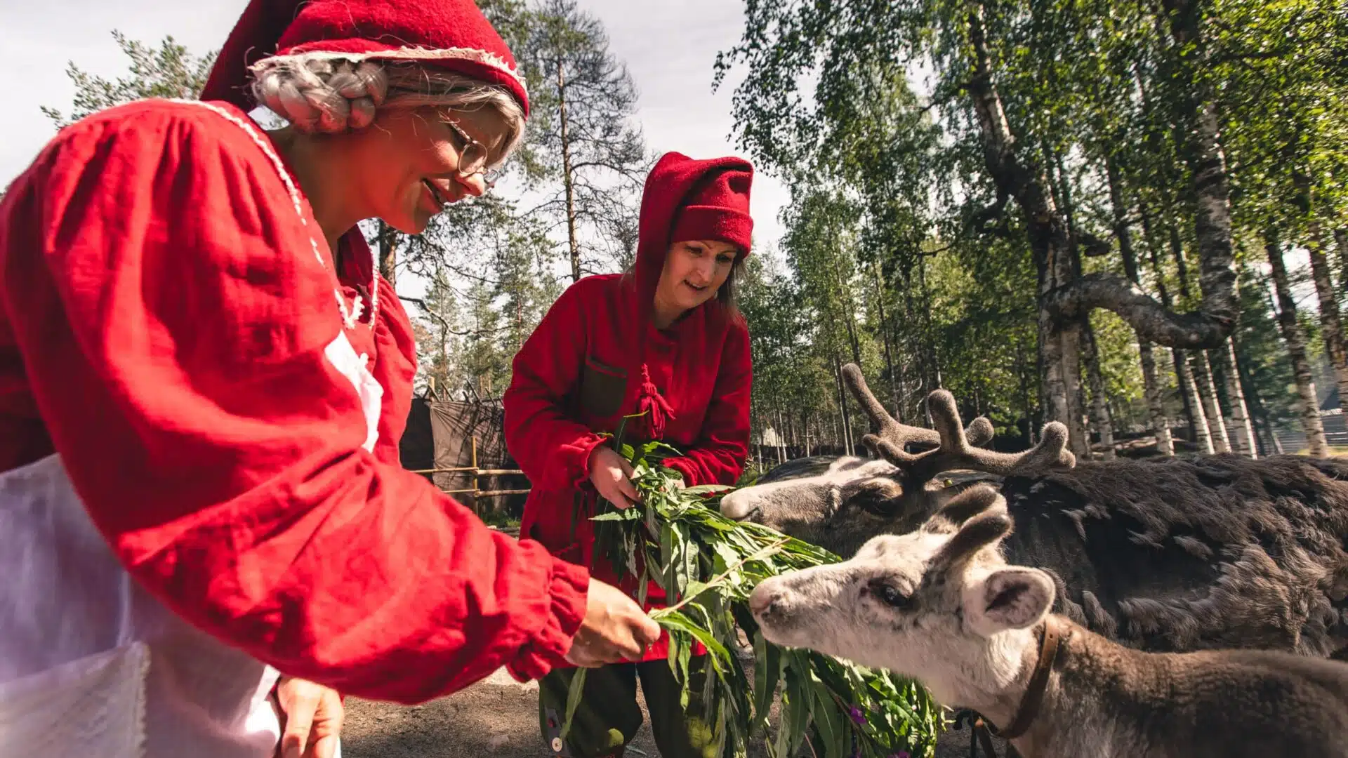 Santa Claus Reindeer summer activity with elves