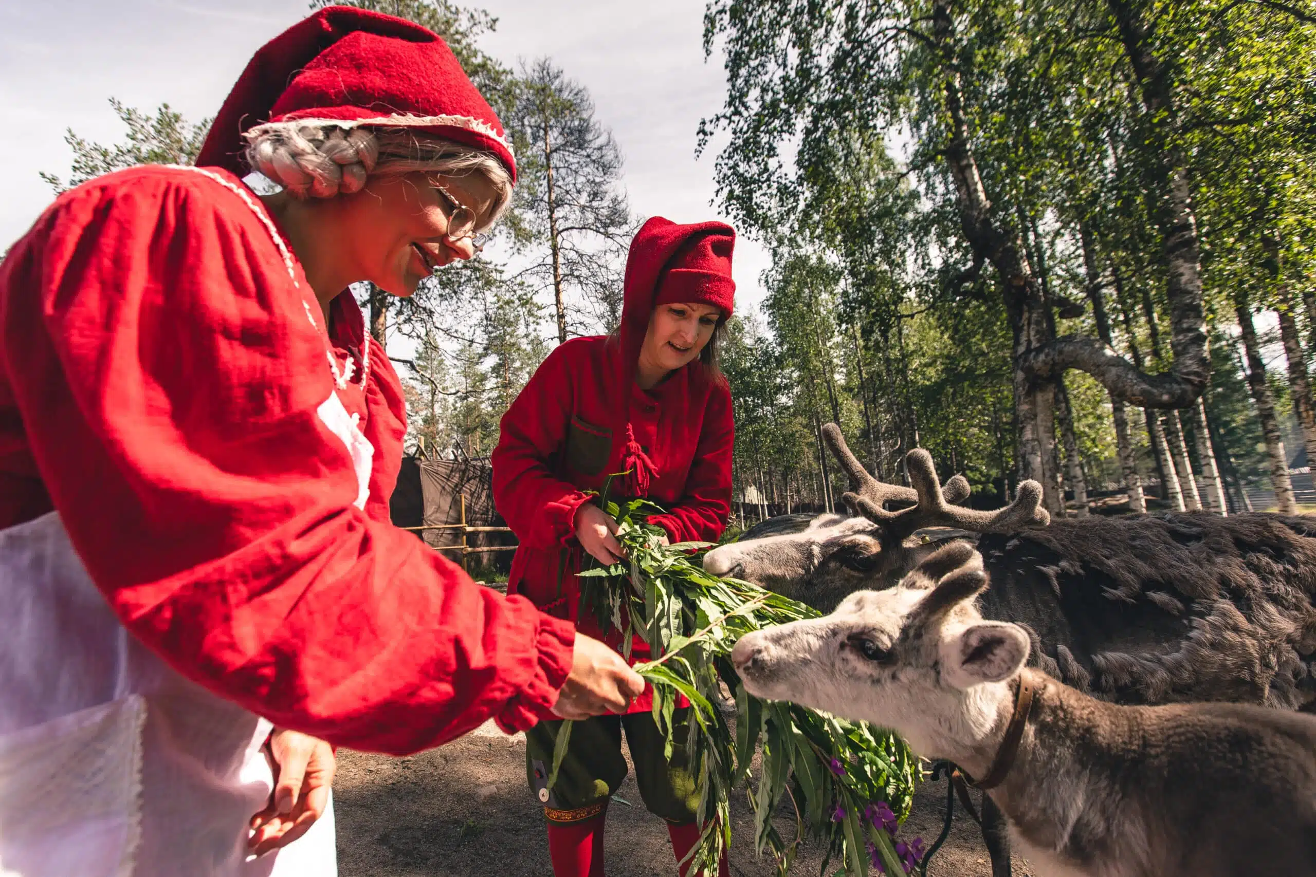 Santa Claus Reindeer summer activity with elves