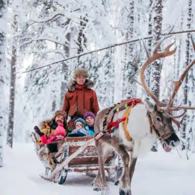 Family reindeer sleigh ride in the snow