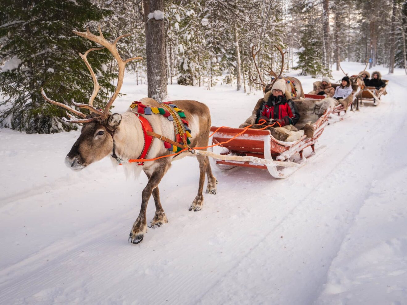 Winter Adventure Reindeer Safari in Rovaniemi, Santa Claus Village
