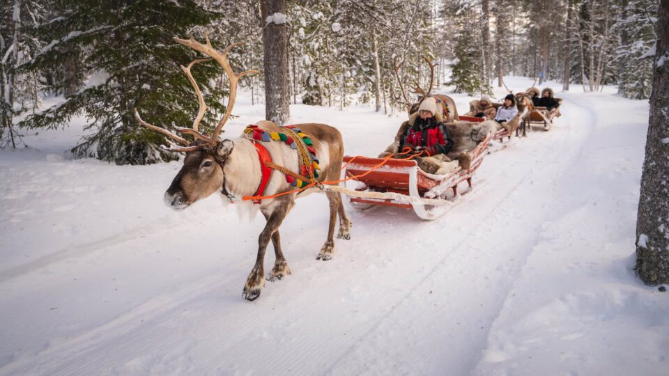 Winter Adventure Reindeer Safari in Rovaniemi, Santa Claus Village