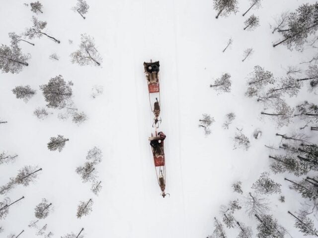 Winter Adventure Reindeer Safari in Rovaniemi, Santa Claus Village