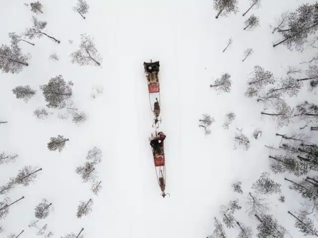 Winter Adventure Reindeer Safari in Rovaniemi, Santa Claus Village