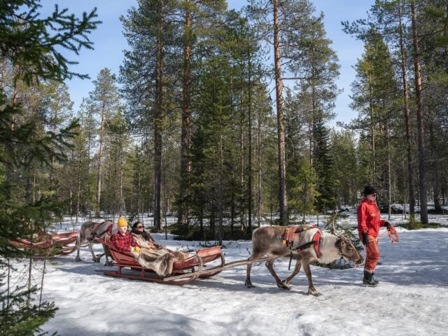 Winter Adventure Reindeer Safari in Rovaniemi, Santa Claus Village