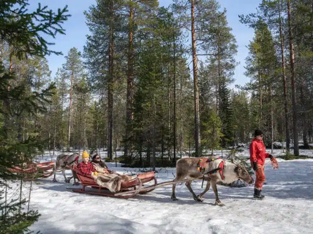Winter Adventure Reindeer Safari in Rovaniemi, Santa Claus Village