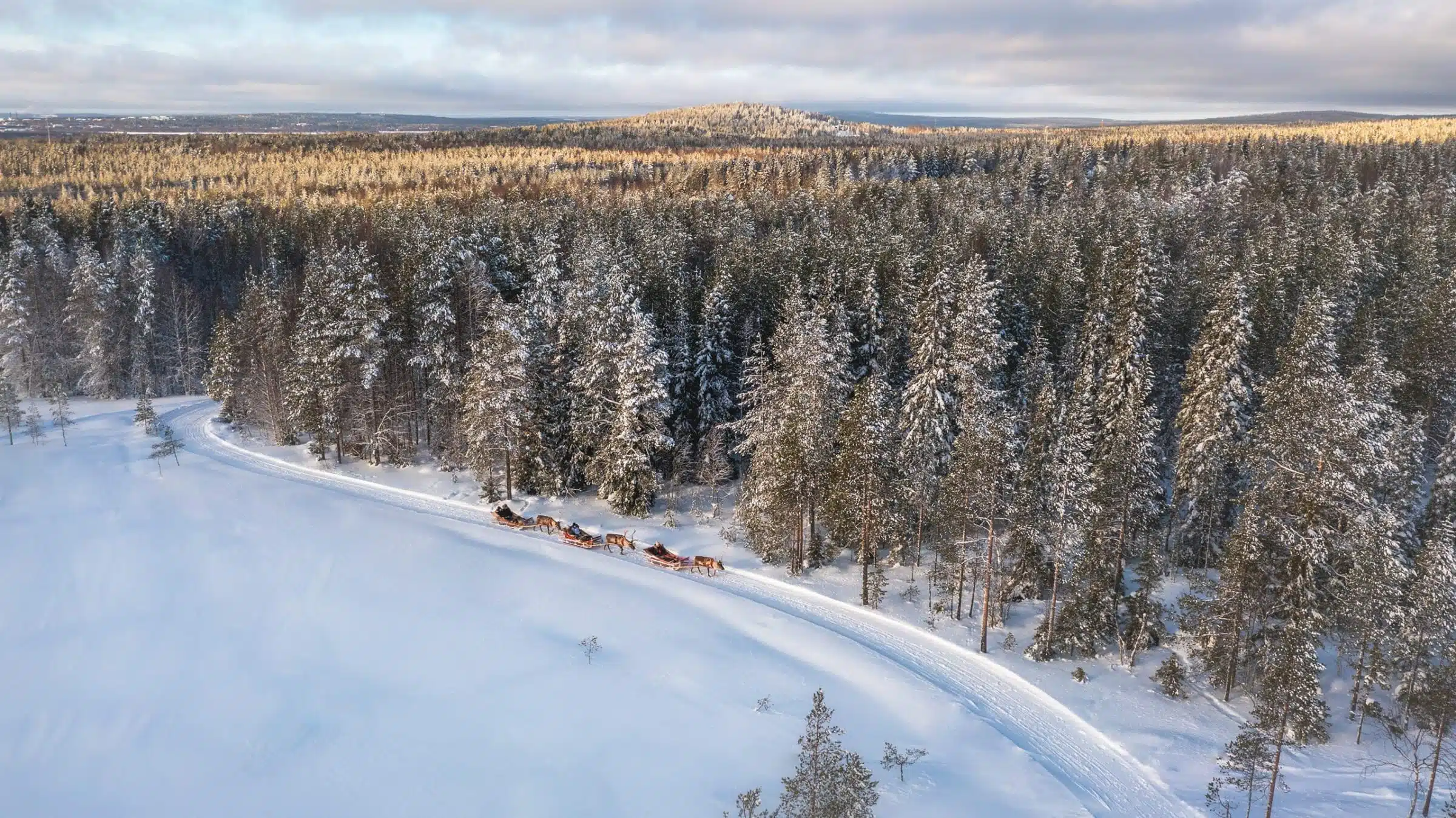 Winter Adventure Reindeer Safari in Rovaniemi, Santa Claus Village