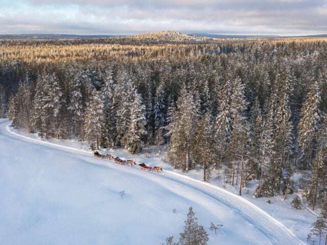 Winter Adventure Reindeer Safari in Rovaniemi, Santa Claus Village