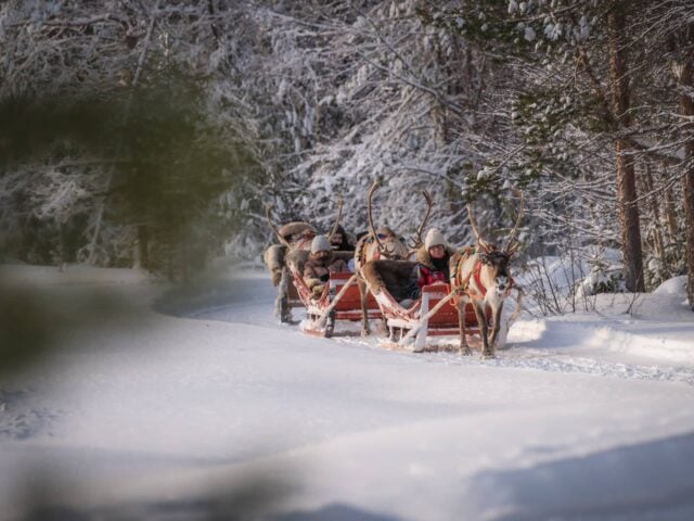 Winter Adventure Reindeer Safari in Rovaniemi, Santa Claus Village