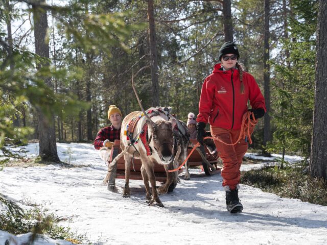 Winter Adventure Reindeer Safari in Rovaniemi, Santa Claus Village