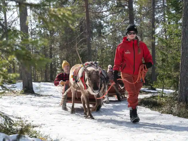 Winter Adventure Reindeer Safari in Rovaniemi, Santa Claus Village