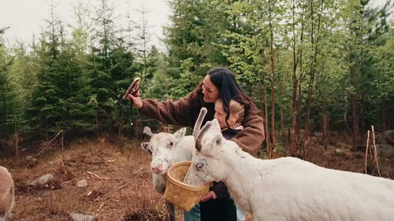 Family Friendly Reindeer Farm Visit in Taava in summer in Rovaniemi, Lapland, Finland