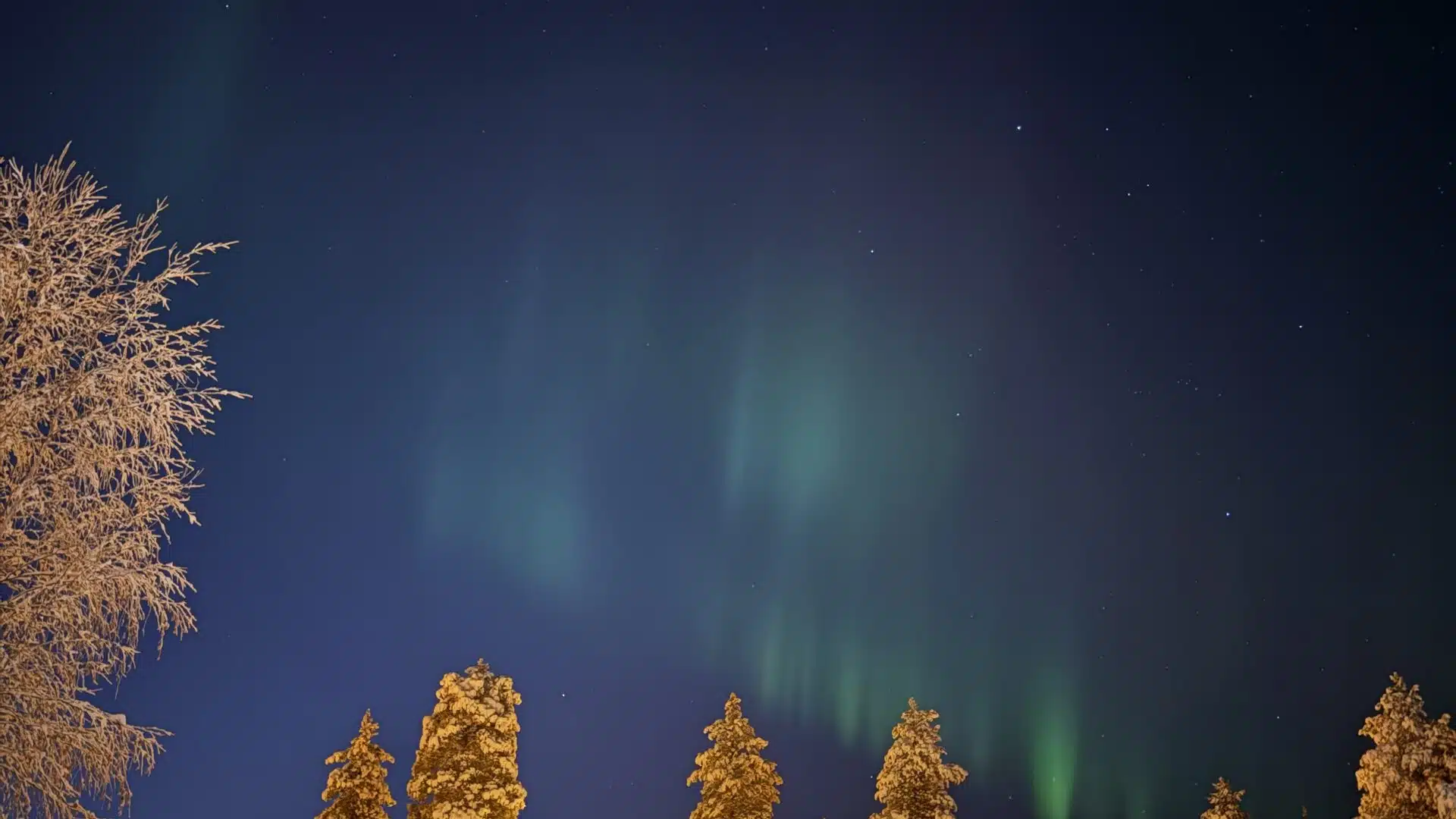 Northern Lights above Taava Reindeer Farm Kota in Rovaniemi, Lapland, Finland